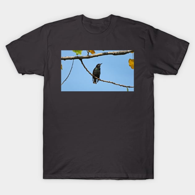 Common Starling T-Shirt by BackyardBirder